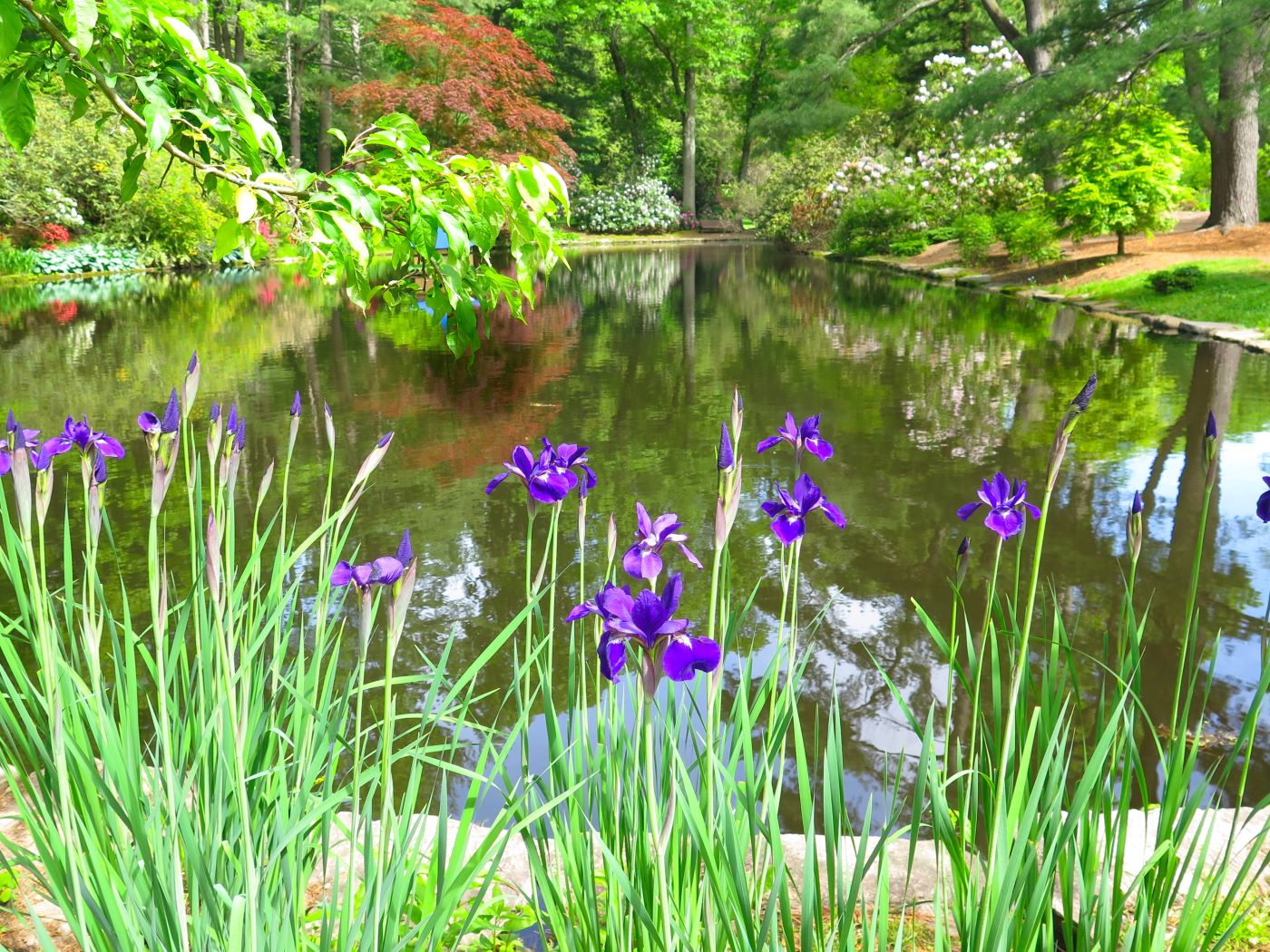 Asigned Subject In Class B By Faye Dudek For Flora SEP-2022.jpg